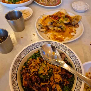 반핀 사진