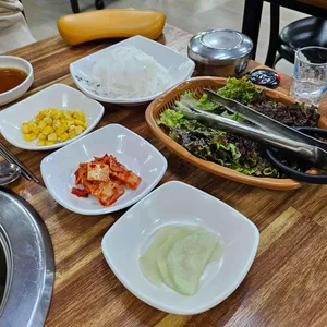 제주갈매기 사진