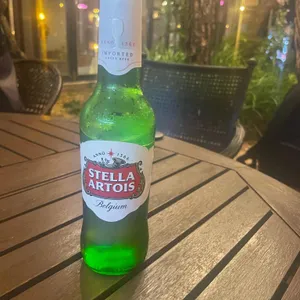 도심정 사진
