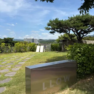 엘로우 리뷰 사진