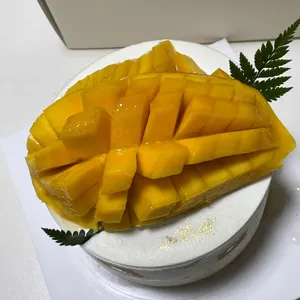 소안 사진