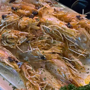 삼바리 사진