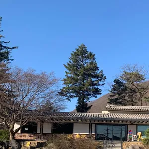 도선재 청평냉면 사진 2