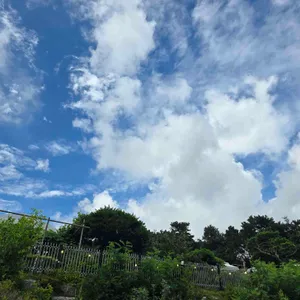 늘솜당 리뷰 사진