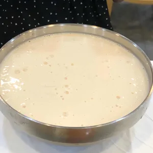 유달콩물 사진