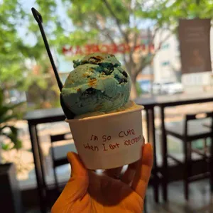 오오스 사진