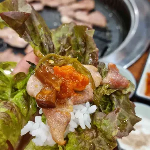 노란도야지 이공일육 사진