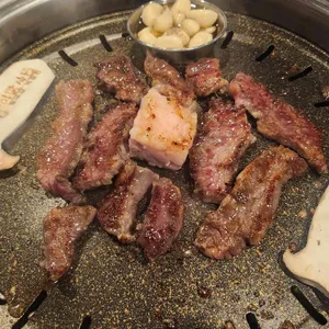 이팔사팔 사진