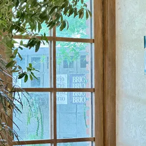 브리오 리뷰 사진