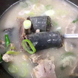 늘해랑 사진 2