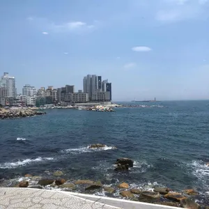 콘텐타커피 대표 사진