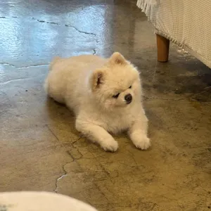 로맨틱팔레트카페 사진 2