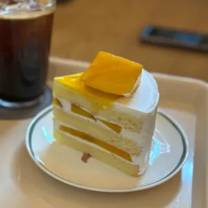 빵앗간토끼 사진