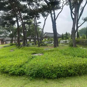 듀포레 리뷰 사진