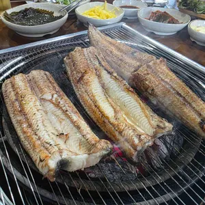 풍천장어 사진