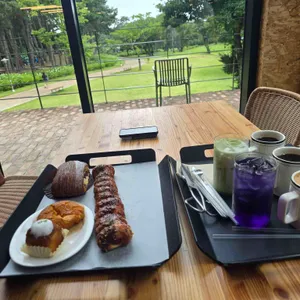이끼숲소길 사진