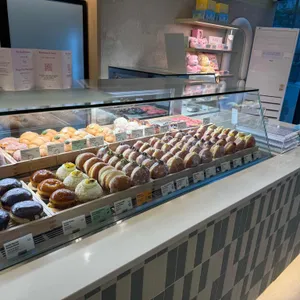 노티드 사진