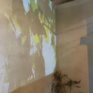 티노마드 리뷰 사진