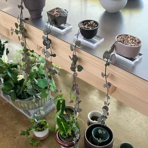 과수원 프로젝트 리뷰 사진