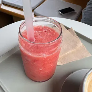 고양이똥 사진