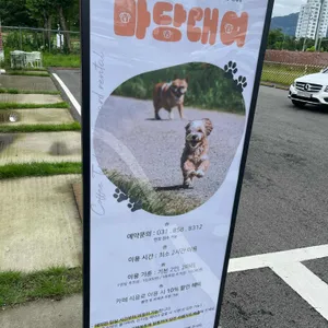 커피팀버 리뷰 사진