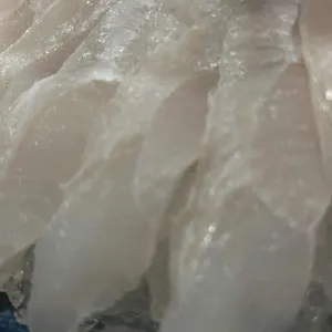 삼부자활어포차 대표 사진