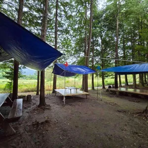 토함산솔밭가든 리뷰 사진