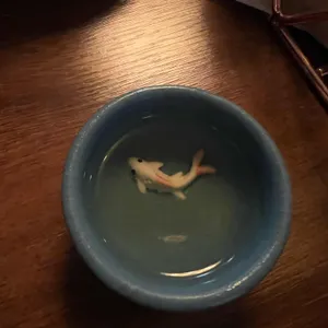 주락간 사진