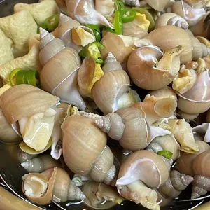 을지로 회장님 사진