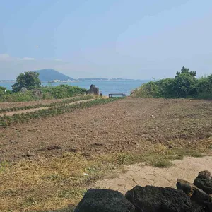 성산봄죽칼국수 리뷰 사진