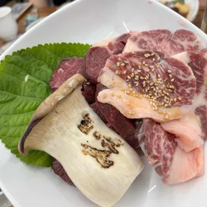 고수목마 사진