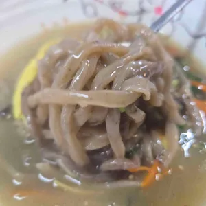 바당길 사진