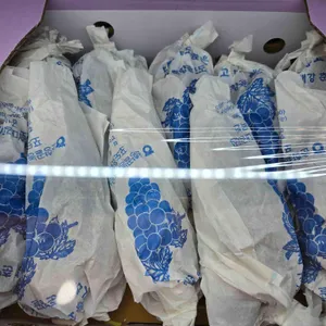 윤스과일 리뷰 사진