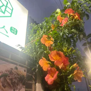 줄리스 리뷰 사진