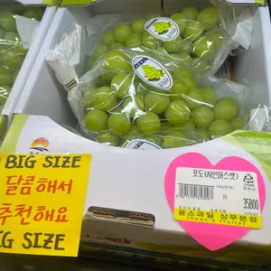 윤스과일 사진