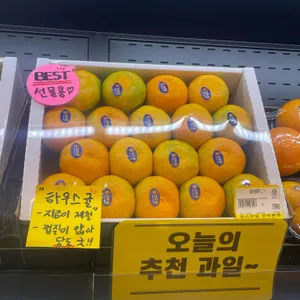 윤스과일 리뷰 사진