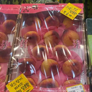 윤스과일 리뷰 사진