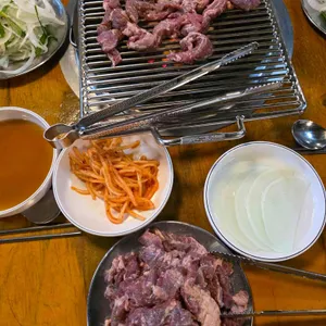 나노갈매기 사진