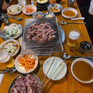 나노갈매기 사진