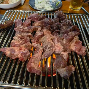 나노갈매기 사진