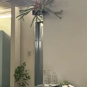 토오즈 리뷰 사진