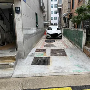 선도 리뷰 사진