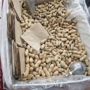 파이브가이즈 사진