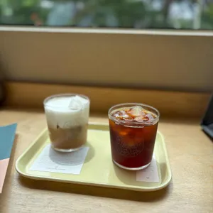 나무사이로 사진