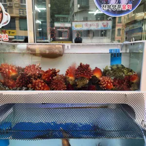 대포전복양푼물회 리뷰 사진