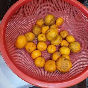 연정식당 사진
