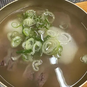 능동미나리 사진