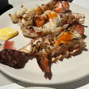 라세느 사진