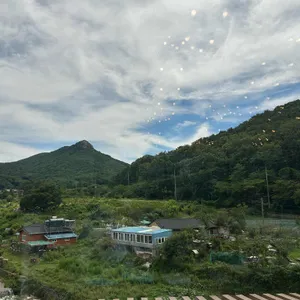 숲404 리뷰 사진