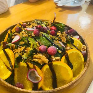 남미 플랜트랩 사진